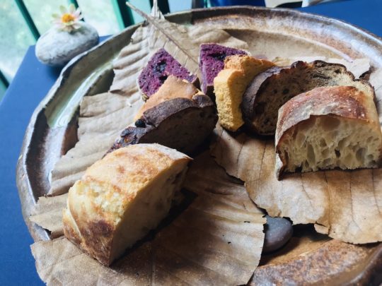 4F9D5E85-B83C-45BA-A9CA-DAB1B8F4ECC3