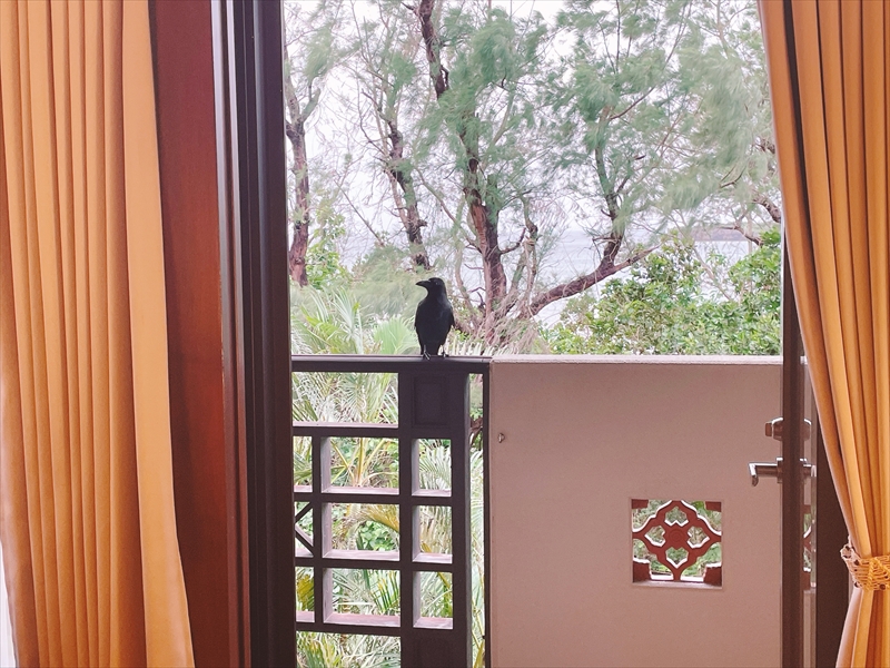 写真 2022-12-09 17 01 19_R