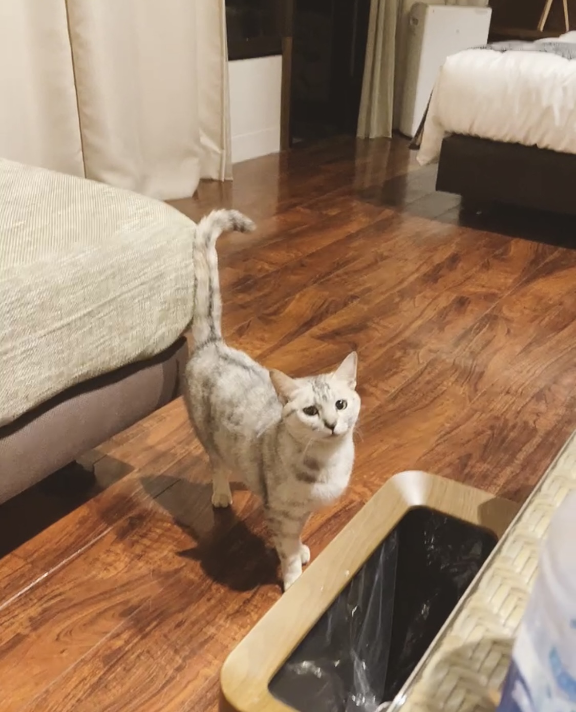 写真 2023-02-16 3 44 26