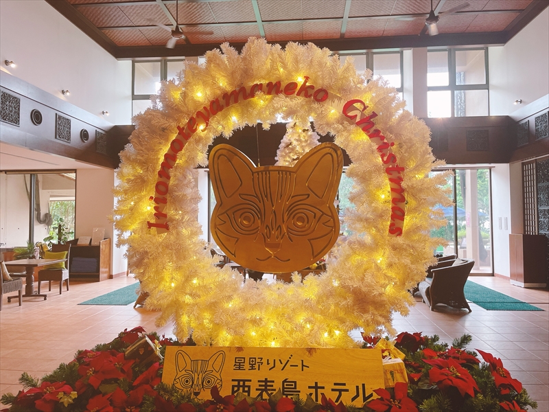 写真 2022-12-09 15 21 41_R