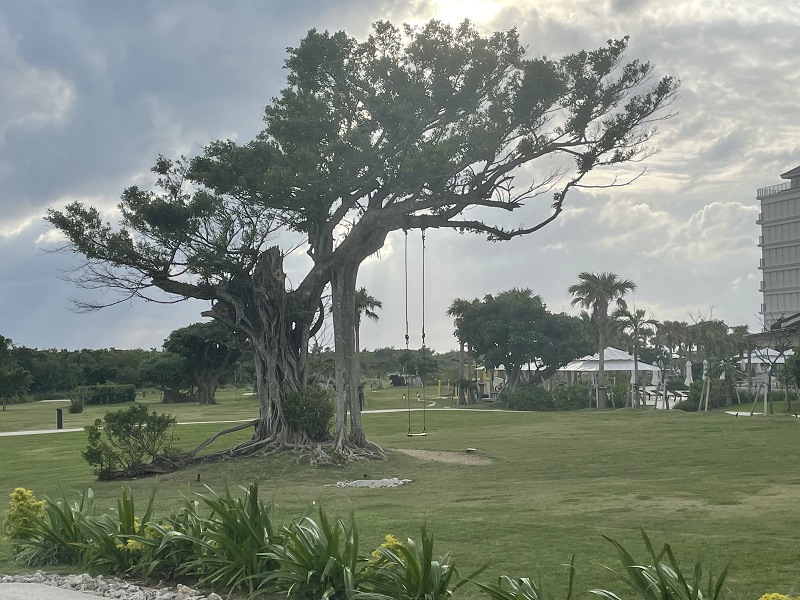 写真 2022-12-12 16 10 48