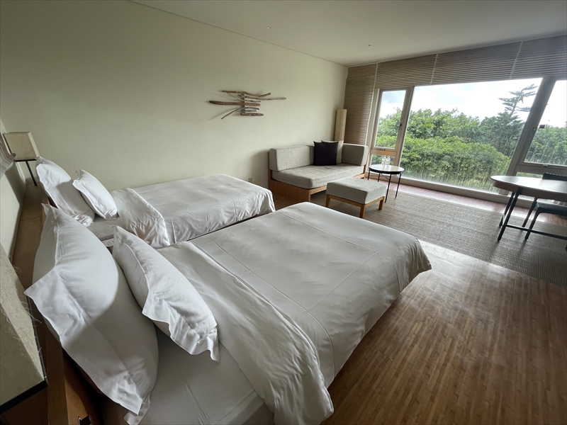 写真 2022-12-12 12 48 39_R