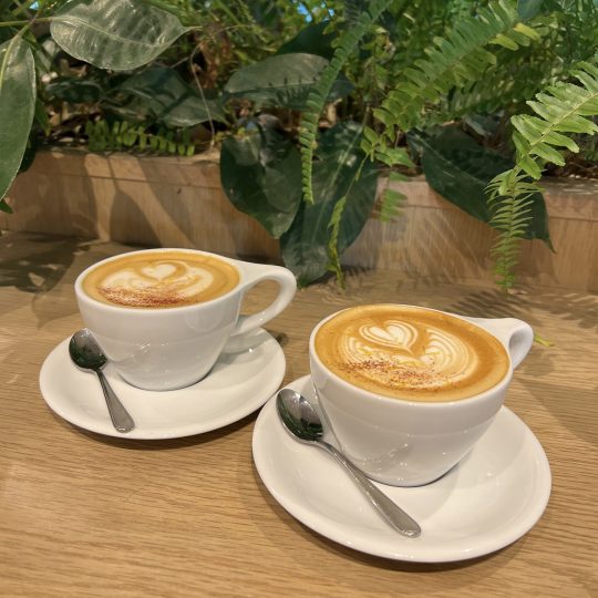 4C6CB2F3-41A8-4114-A9CF-5511F1BE005C