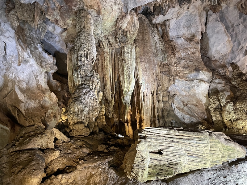 写真 2023-03-23 12 54 44_R