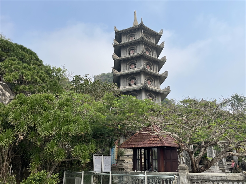 写真 2023-03-21 8 50 35_R